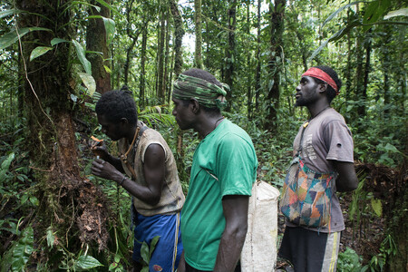 Skupina místních vlastníků lesa z rezervace Kagalalo se podílí na sběru vzorků hmyzu.